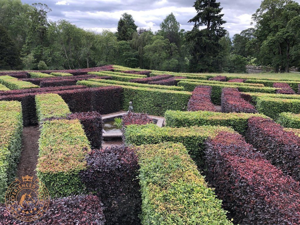 The Murray Star Maze at Scone Palace