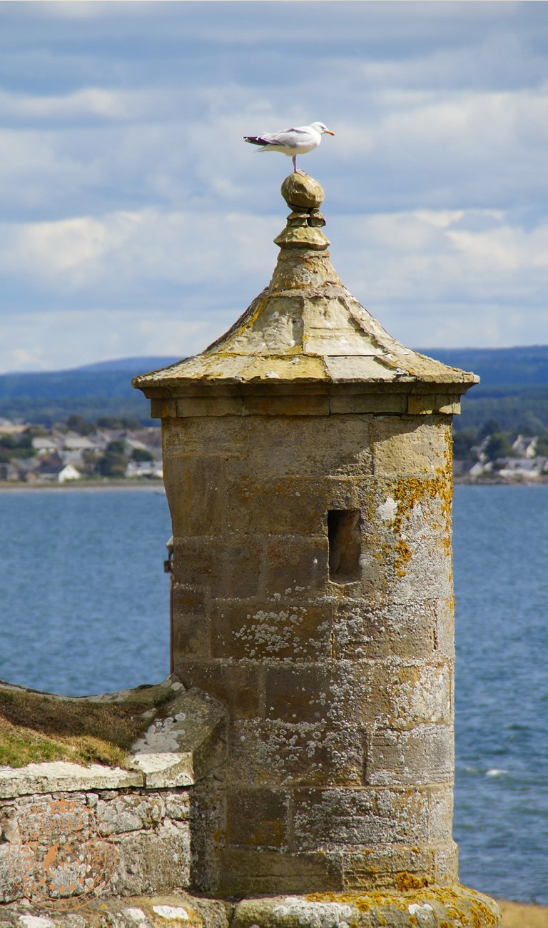 Lookout tower Fort George