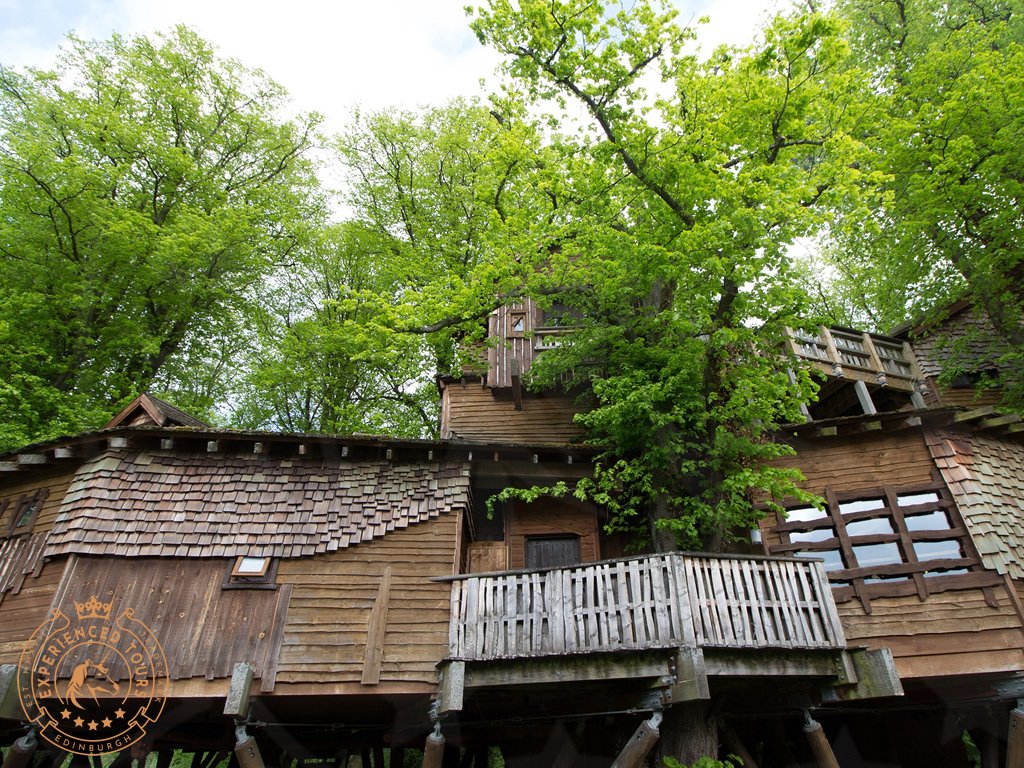 Treehouse cafe at Alwnick
