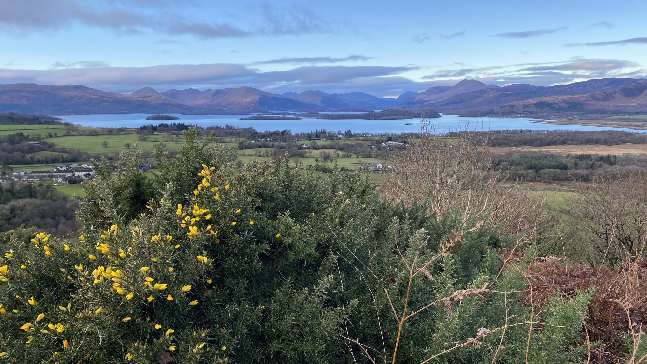 Panoramic View over Loch Lomond